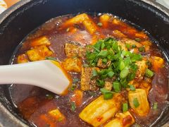 邵子牛脊髓-曾牛肉