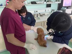 -北京观赏动物医院·24小时大型综合·猫专科·异宠专科