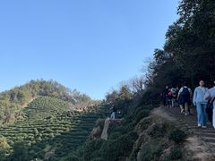 -十里琅珰