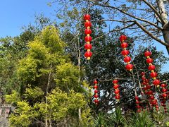 -深圳仙湖植物园
