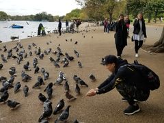 -海德公园