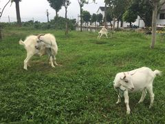 -乡乐园蟹庄·阳澄湖农家乐