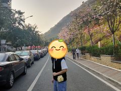 -小南山公园