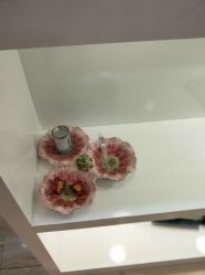 -晶奕空间专业脱毛连锁机构
