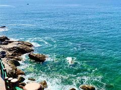 -广东惠东海龟国家级自然保护区