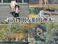 -宁波野生动物园