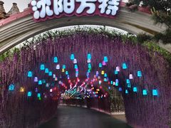 -沈阳方特欢乐世界