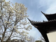 -狼山风景名胜区