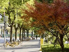 -新虹桥中心花园
