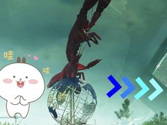 -盱眙红叶龙虾(金源北路店)