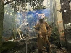 -国家自然博物馆