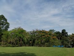 -中国科学院西双版纳热带植物园