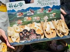 -芸山季·云南山珍菌火锅(人民广场来福士店)