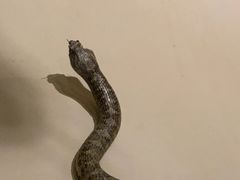 -常州博物馆