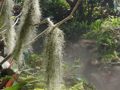 -济南植物园