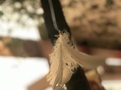 -二酉书店TOYOU BOOKS