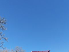 -大望京公园
