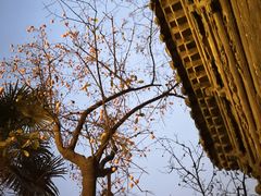 -西安化觉巷清真大寺