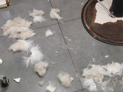 -萌兽医馆·宠物医院·猫骨科(创景店)