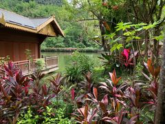 -西双版纳原始森林公园