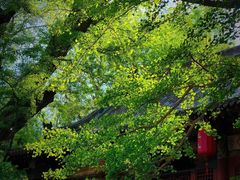 -晋祠博物馆