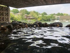 -春晖园度假酒店温泉