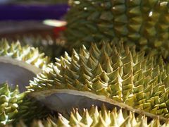 -三亚火车头万人海鲜广场