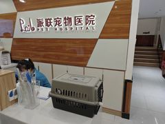 -派联宠物医院·24h·CT·异宠