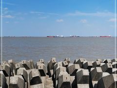 -上海滨江森林公园