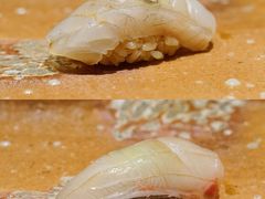 -鮨龍