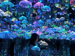 -天津梵高星空艺术馆(天河城旗舰店)