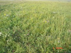 -塞罕坝国家级自然保护区