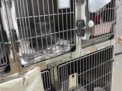 -宠福鑫康馨动物医院·骨科·眼科