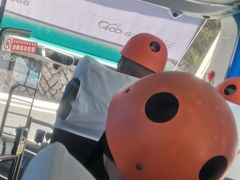 -仙人谷漂流景区