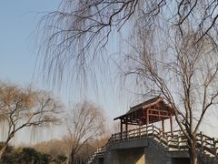 -洛阳市隋唐城遗址植物园