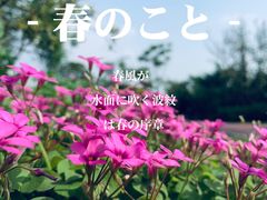 -金海湾滨江公园