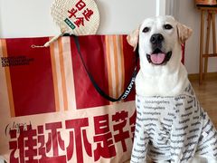 -大芊金重庆串串火锅(南京路店)