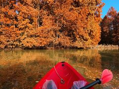 -上海海湾国家森林公园