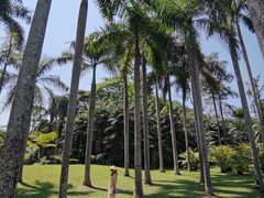 -中国科学院西双版纳热带植物园