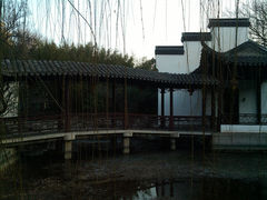 -紫竹院公园冰场