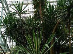 -南山植物园