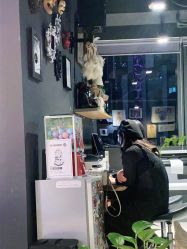 -周忆刺青原创设计定制