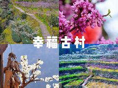 -青羊宫