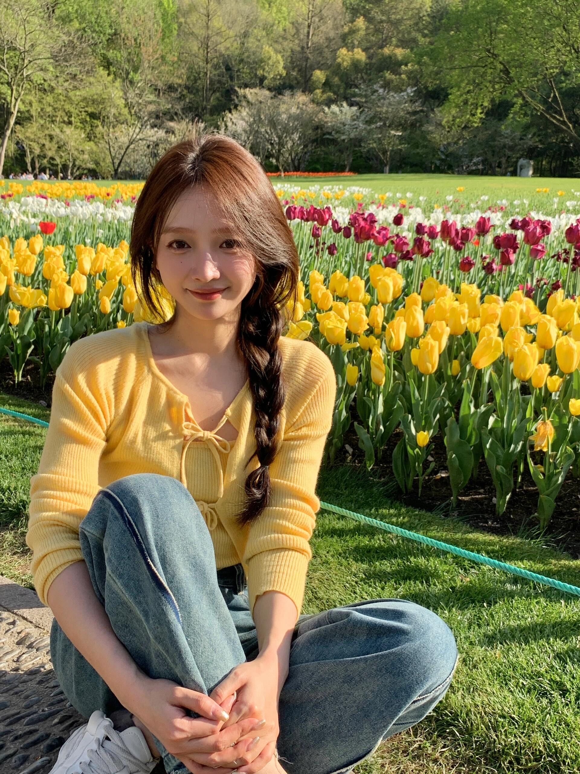 古希腊掌管郁金香拍照的神🌷