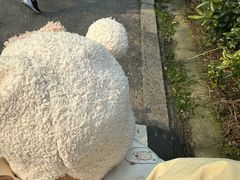 -蜀冈西峰生态公园