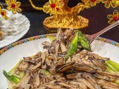 -新光酒家·河豚·海鲜·蟹料理(浦东店)