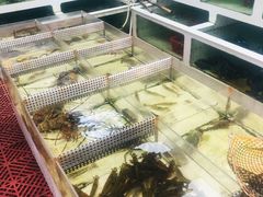 菜单-肥弟大排档(汕樟路店)