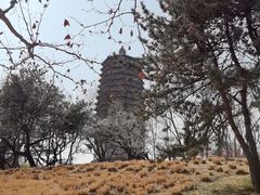 -玲珑塔公园