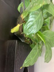 -不迫先生专业男士剪发