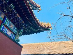 -锅儿挑面馆